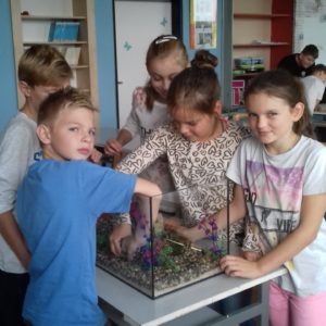 Děti sází rostlinky do třídního akvária